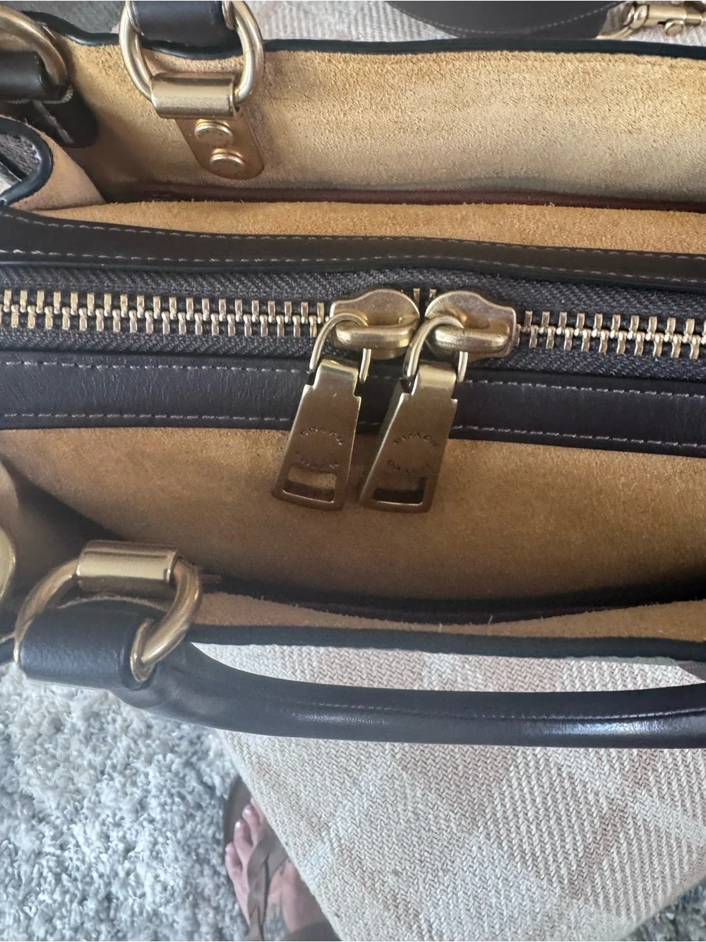 Coach new rogue